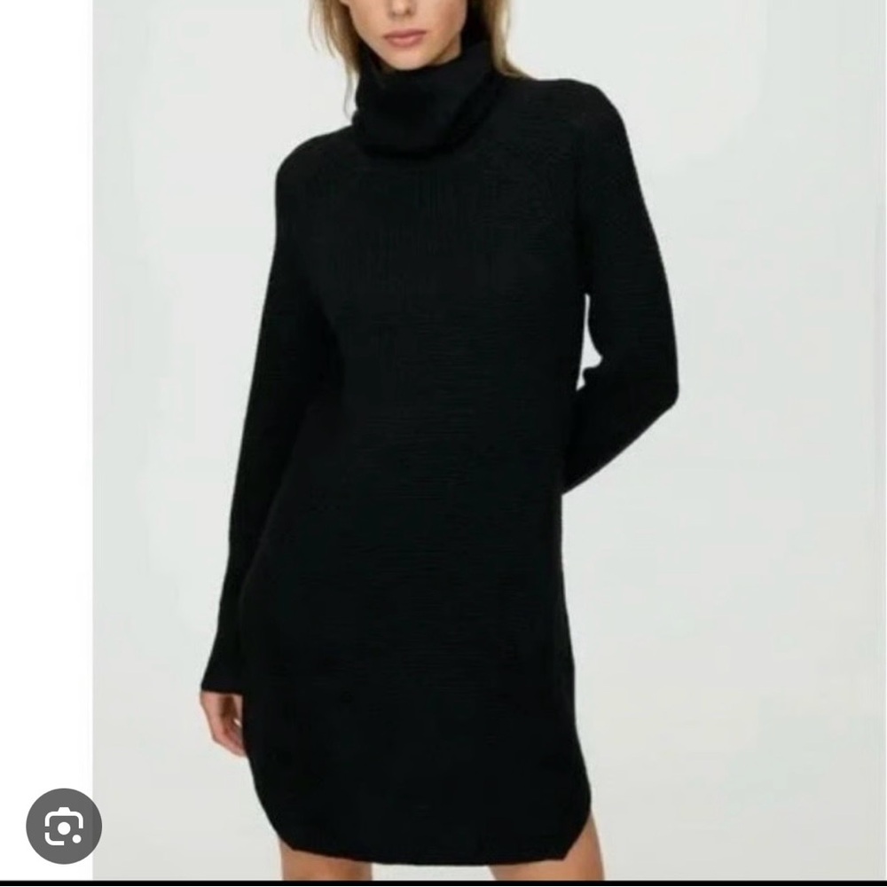Aritzia Black Turtleneck Dress